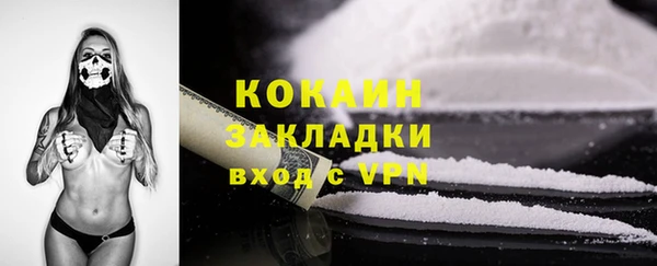 прущие грибы Осинники
