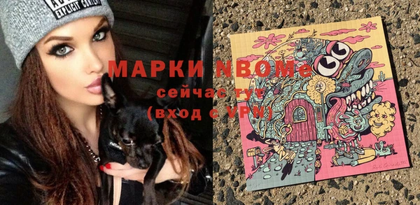 шишки Алексин
