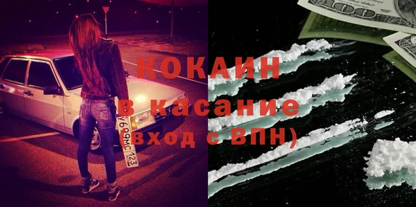 шишки Алексин