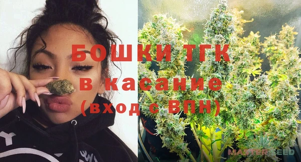 шишки Алексин