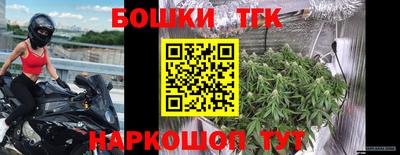 Альфа ПВП Обь