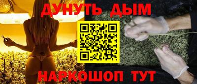 Альфа ПВП Обь