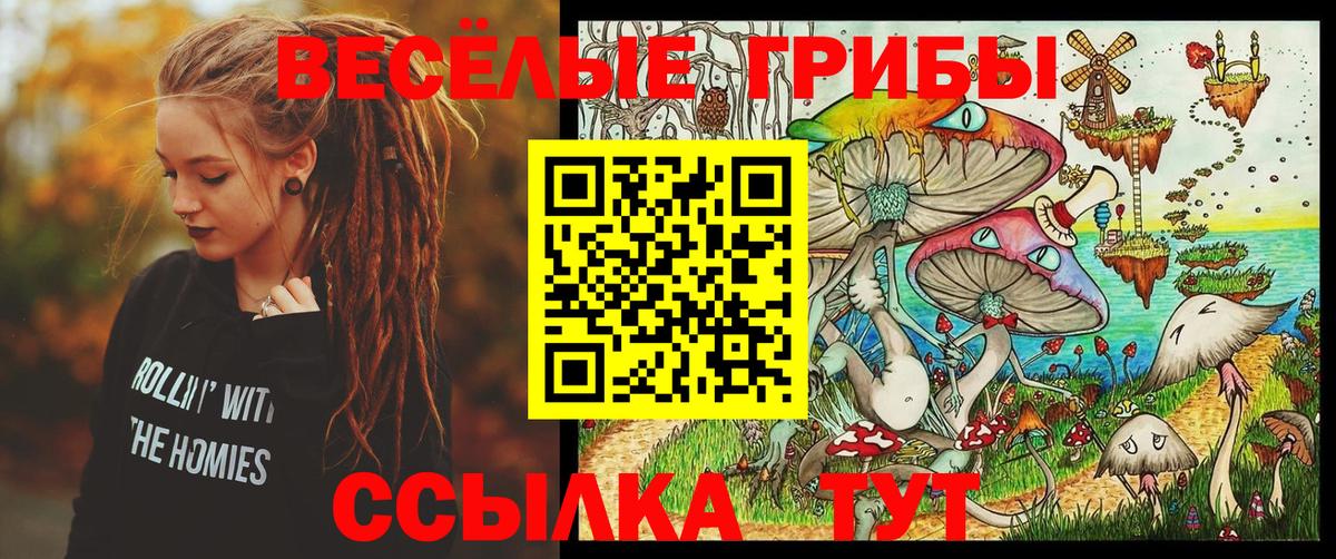 Татарск  Галлюциногенные грибы прущие грибы  Вход с VPN 