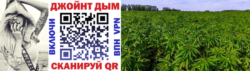 Марихуана SATIVA & INDICA Татарск